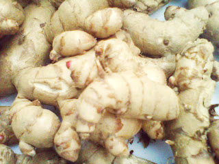 obat wasir ampuh di apotik