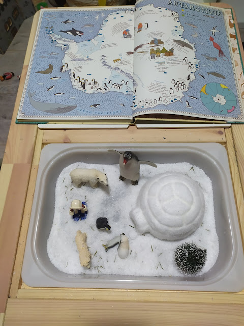 Activités sur l'antarctique enfant et bébé + ( docs à imprimer gratuitement)