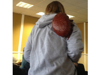 Χάνω μελίσσια και βασίλισσες αλλά δεν έχω βαρρόα