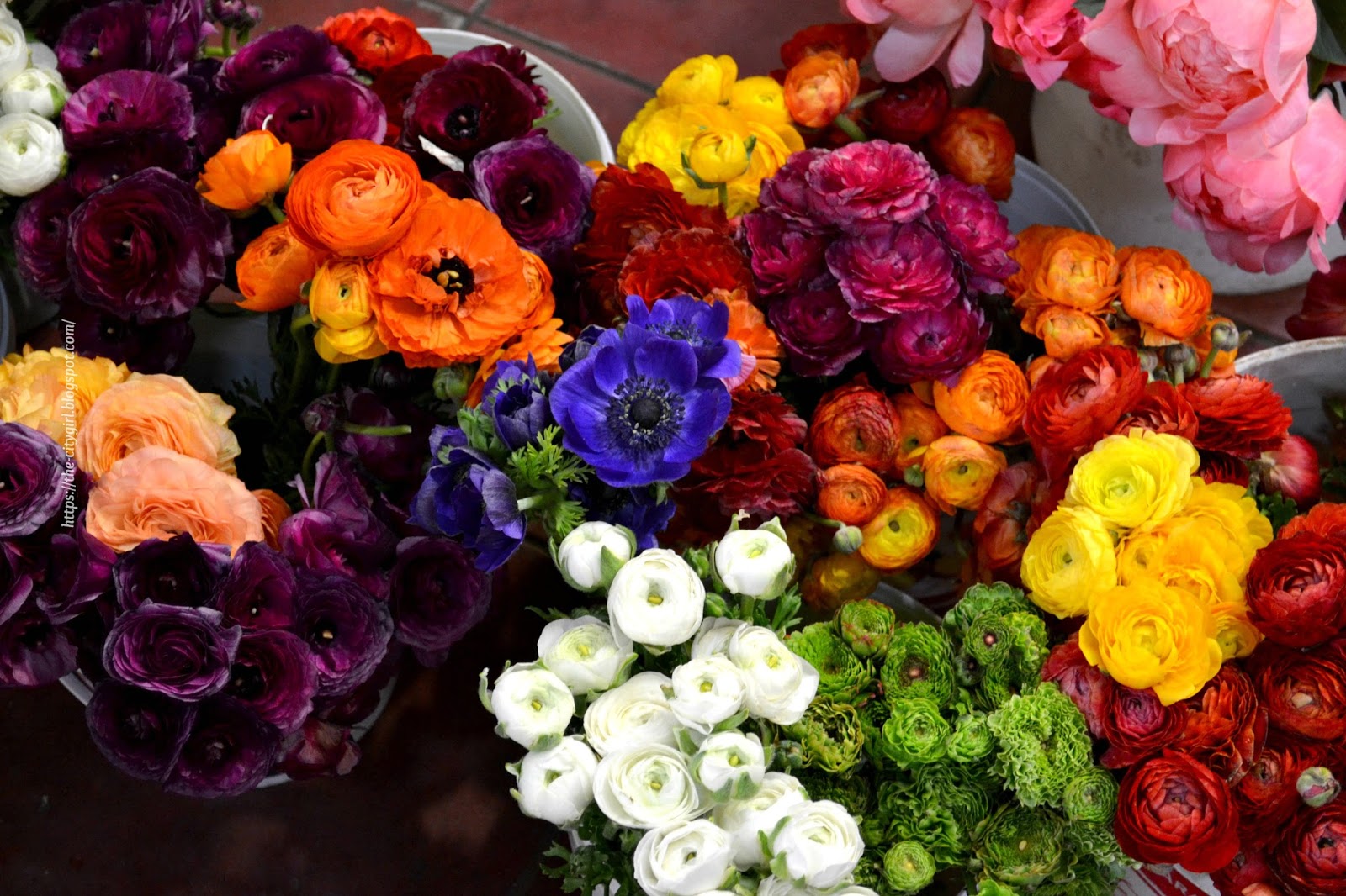 The CityGirl*: *De Paseo: Terminal de Flores Coproflor.