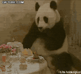 gif_susto_panda.gif