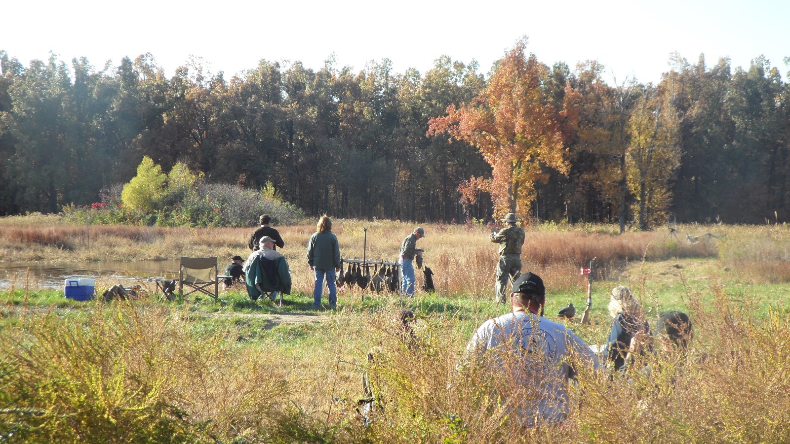 razor-sharp-retrievers-bootheel-s-hunt-test