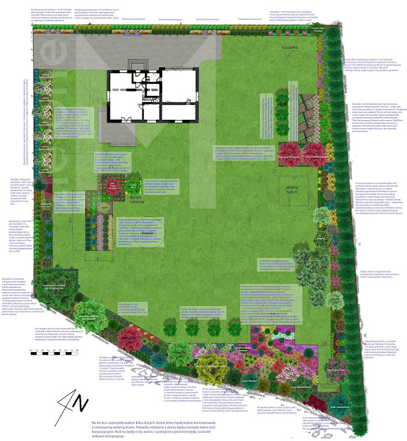 projekt dużego ogrodu z basenem