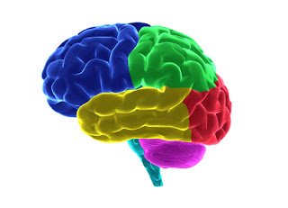 Healthy Brain Insights to 8 essentional things children need! http://bit.ly/Xx6S6t