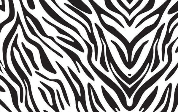 Best Animal Zoo: Zebra Print