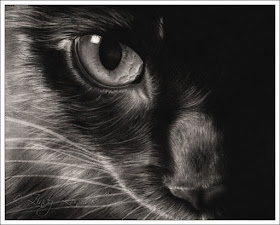 07-Black-Cat-Zindy-Nielsen-Fantasy-Animals-Meet-Realistic-Ones-www-designstack-co