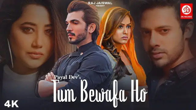 Lyrics Tum Bewafa Ho Song - Payal Dev * Stebin Ben