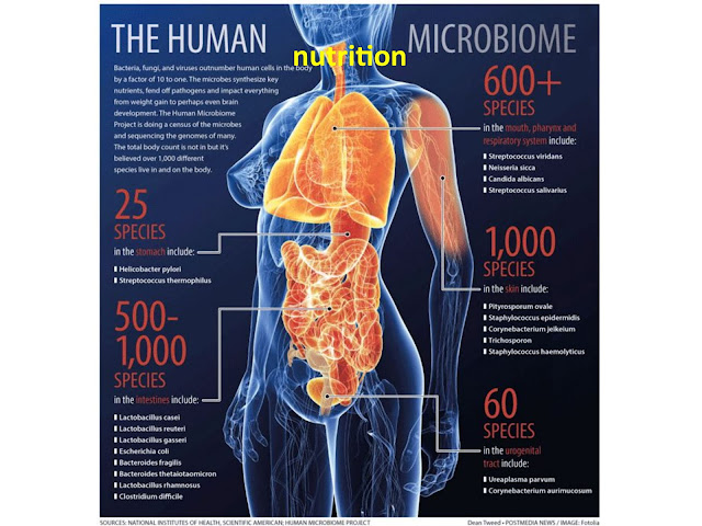 Microbial Communities in Human