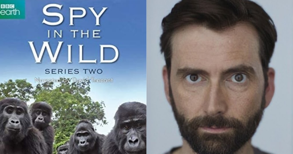 John Roblox Gorilla Sounds 1 Hour Uk Spy In The Wild Series 2 Released On Dvd Blu Ray Today