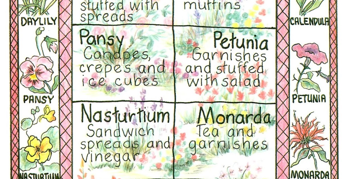 Rosemary's Sampler: Edible Flowers Chart
