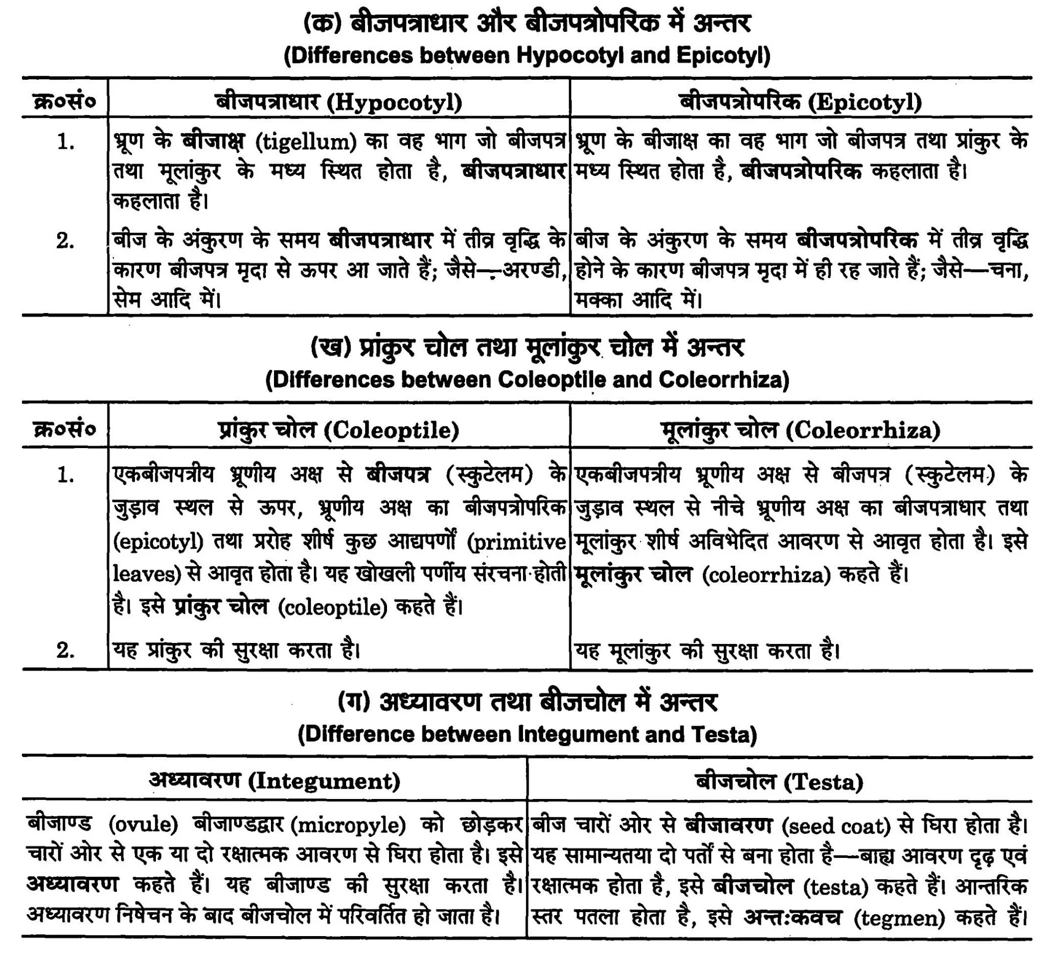 उन्मील परागणी पुष्यों से क्या तात्पर्य है ? क्या अनुन्मील्य पुष्यों में परपरागण सम्पन्न होता है ? अपने उत्तर की सतर्क व्याख्या करें ।