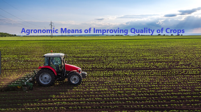 How to Improve Crop Quality