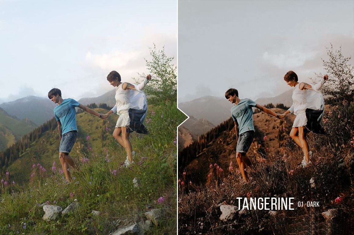 Tangerine Portrait Presets for Lightroom & ACR (LR, XMP)
