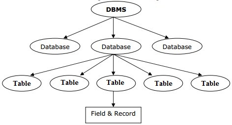 What is Database DBMS and RDBMS - PHP Programming Language