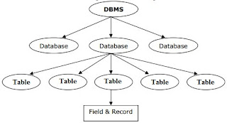 What is Database DBMS and RDBMS