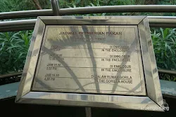 jadwal pemberian pakan kebun binatang ragunan jakarta