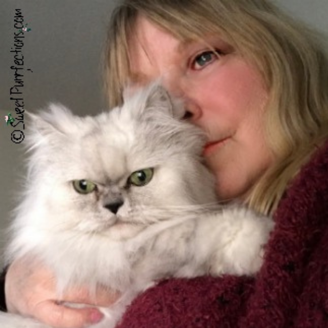 Mom Paula and Truffle Lady hugging a silver shaded Persian Cat
