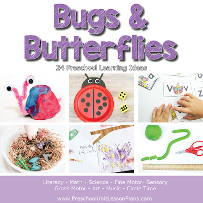 Bugs and Butterflies Preschool Theme