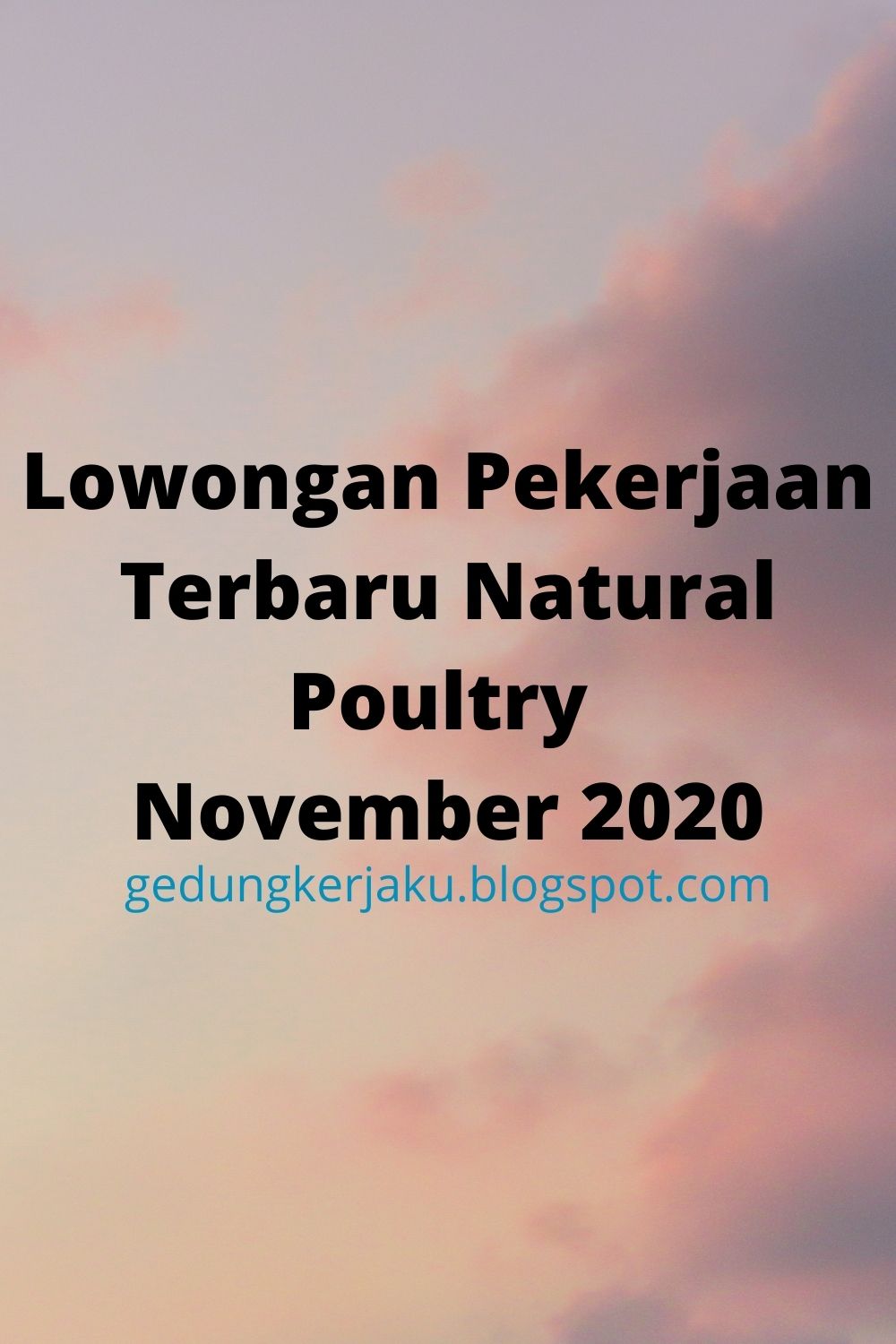 Lowongan Pekerjaan Terbaru Natural Poultry November 2020