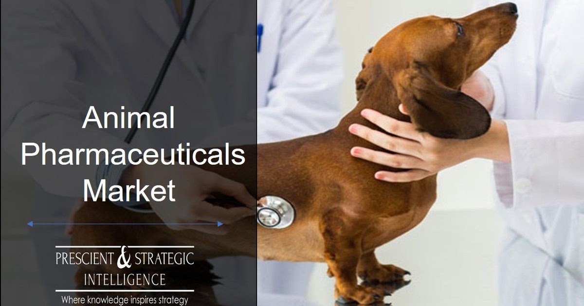 Animal Pharmaceuticals Market Outlook and Forecast 2020 due to COVID19 Impact