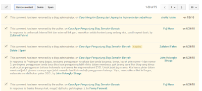 Pengalaman Menghapus URL dari Google Search