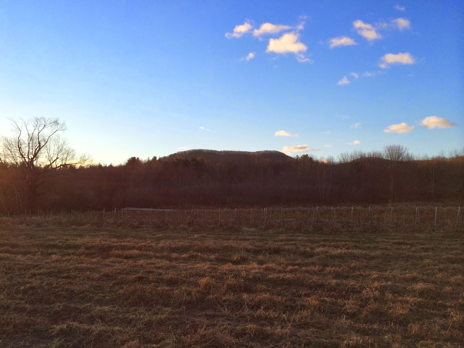 Spicebush Log Thanksgiving Morn at Winterberry Farm