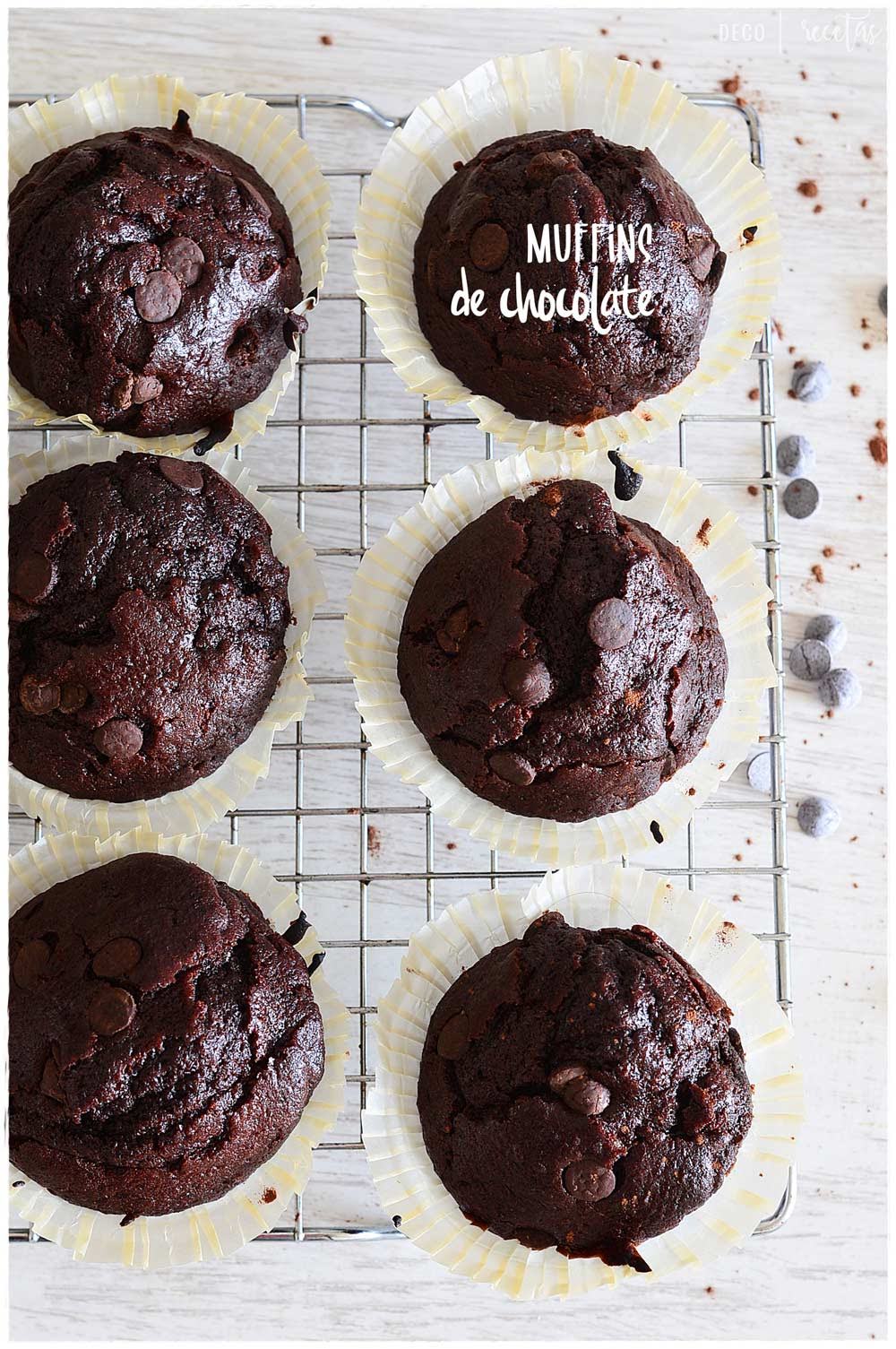 Muffins de chocolate caseros: fáciles y rápidos- receta de muffins  americanos con pepitas de chocolate | DECORECETAS