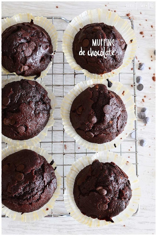 Muffins de chocolate caseros: fáciles y rápidos- receta de muffins americanos con pepitas de chocolate