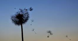 MEMORIES, THEY STAY!