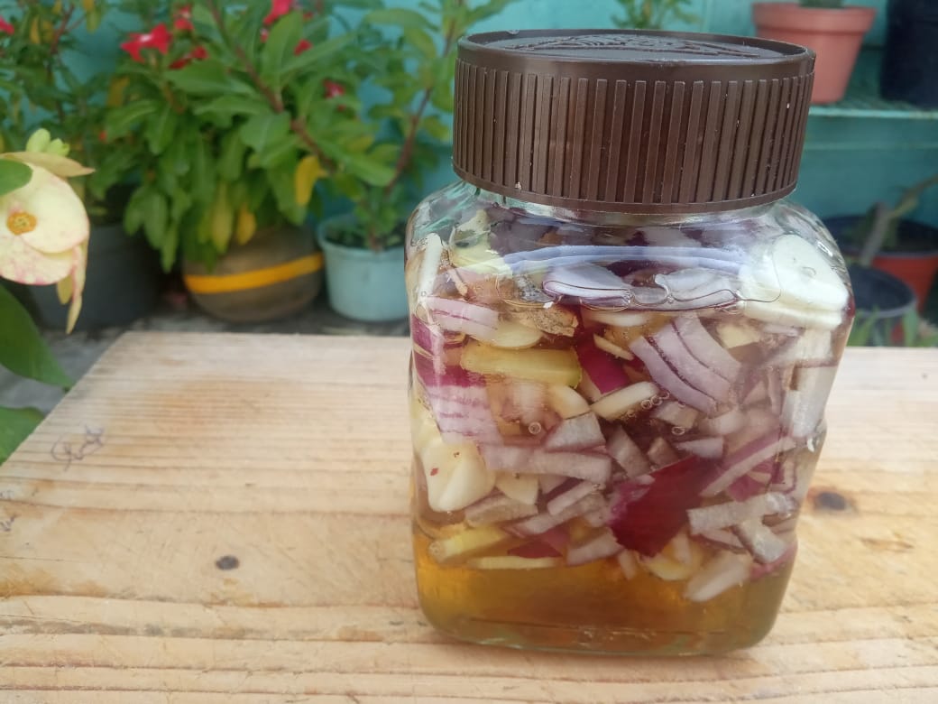 Jarabe de ajo, miel, jengibre, y cebolla para las vías respiratorias (inmunoestimulante)