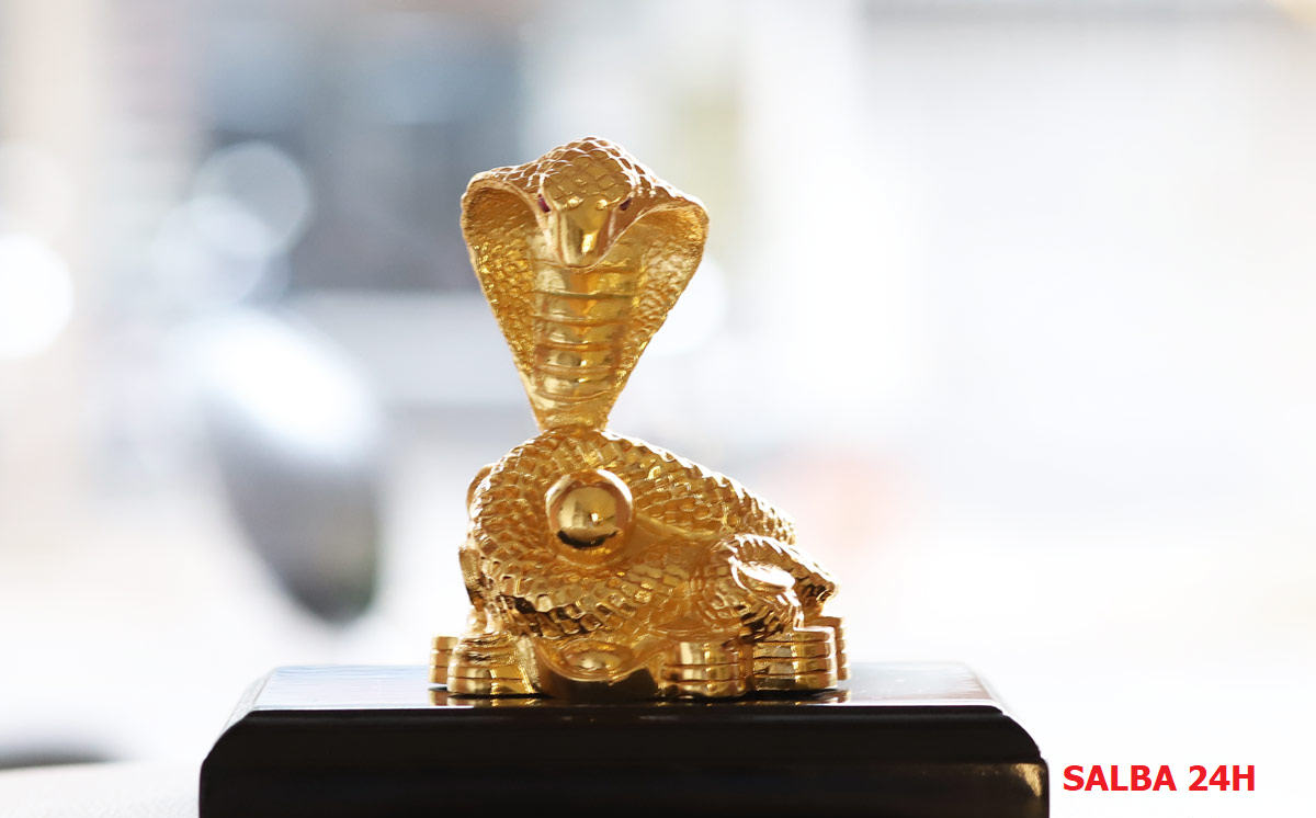 Feng shui 2020 for snake Abundant fortune. Children's Books, Kids