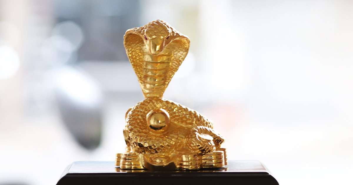 Feng shui 2020 for snake: Abundant fortune. | Children's Books, Kids