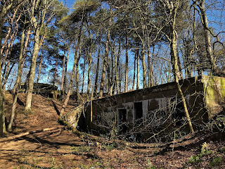 The remains of the magazine building sitting amongst the trees at Hound Point Battery.  Photo by Kevin Nosferatu for the Skulferatu Project