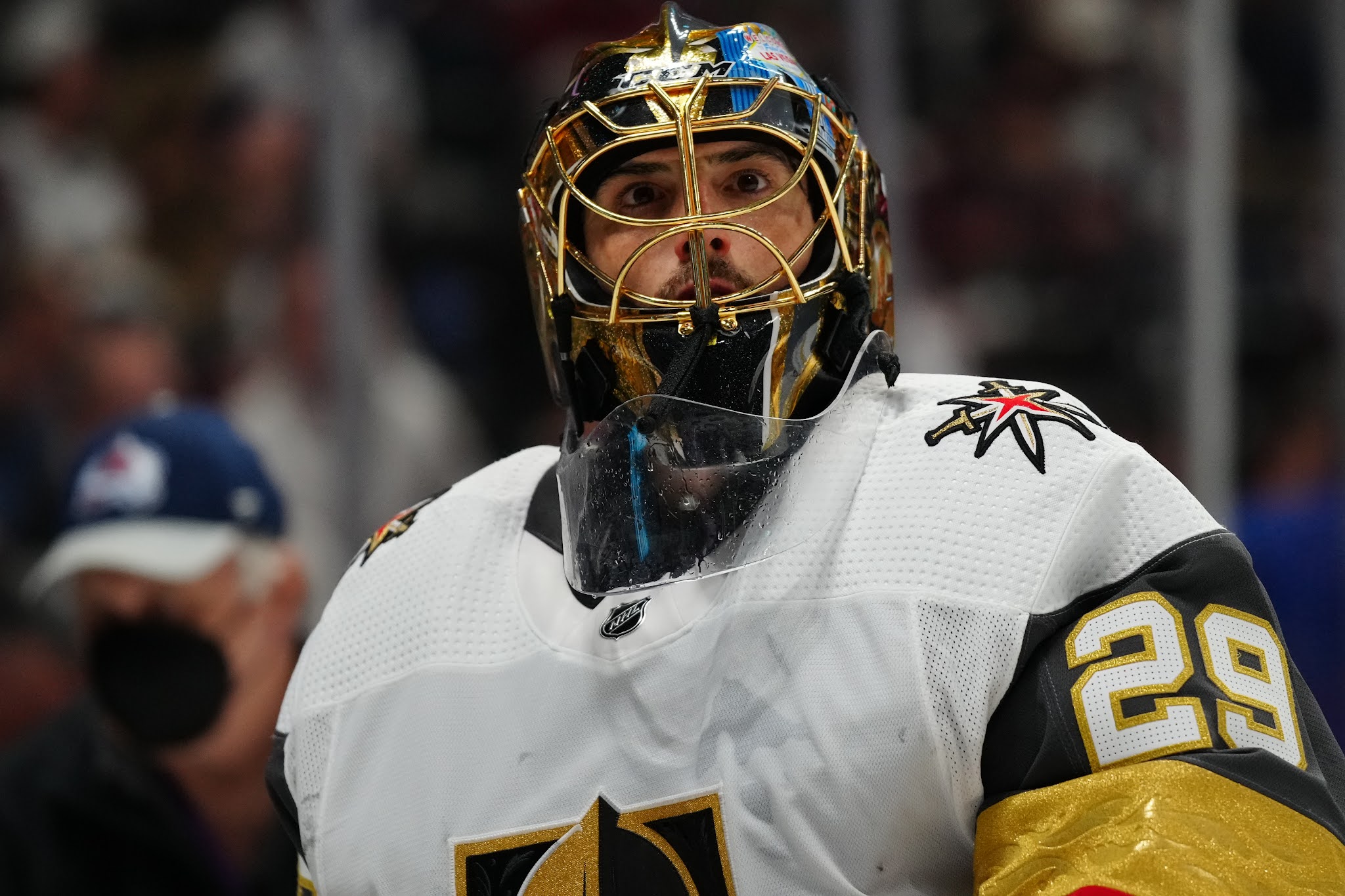 Marc-Andre Fleury in the Hot Seat