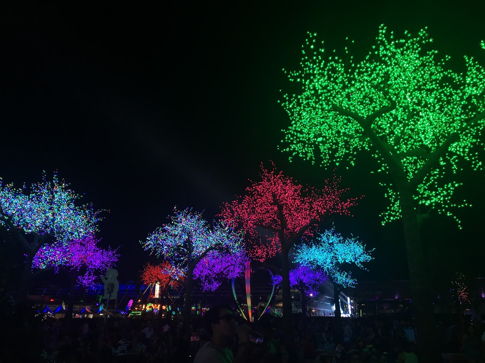 Tips On Surviving EDC & Other Music Festivals