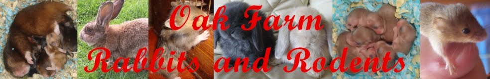 Oak Farm Rabbits and Rodents