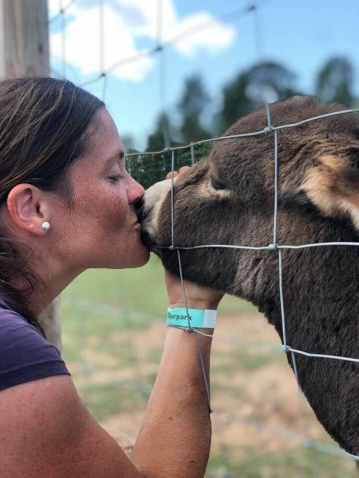 volontari, parco a tema, animali, fauna, esperienza gratuita