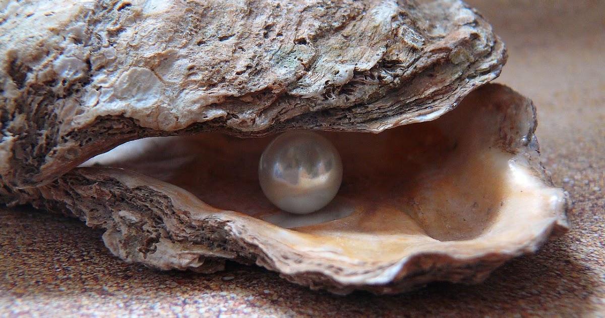 Your embryo is safe in your uterus like a pearl in an oyster The