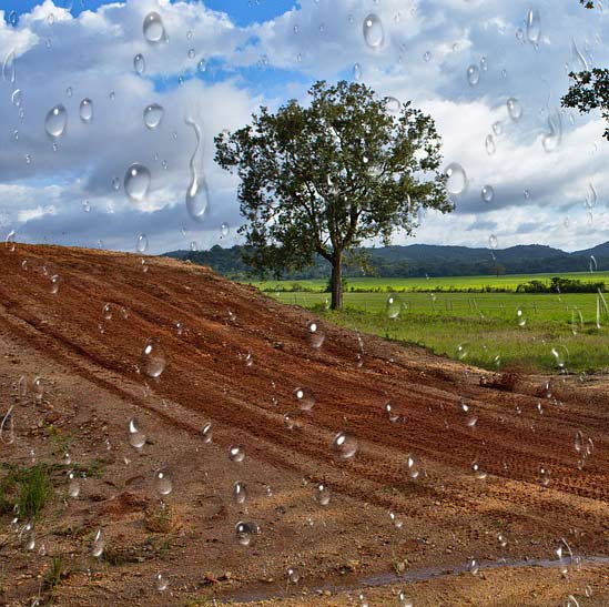 Ever Wondered Why Soil Smells When It Rains?
