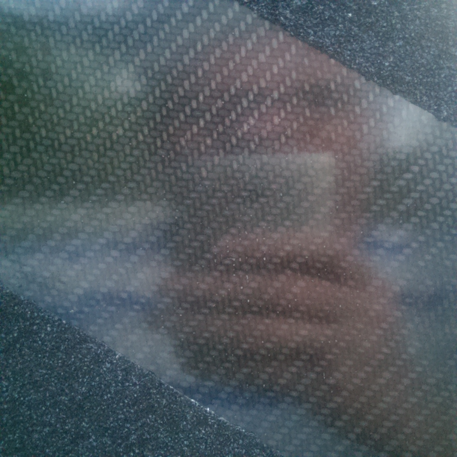 crenimugillabrosus Gecko Grip