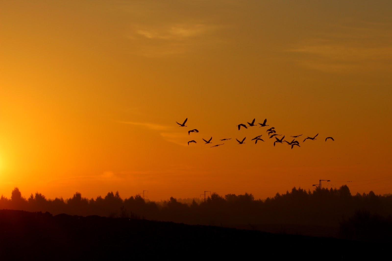 Miłki, Gmina Miłki i okolice Odlatują... Miłki i okolice