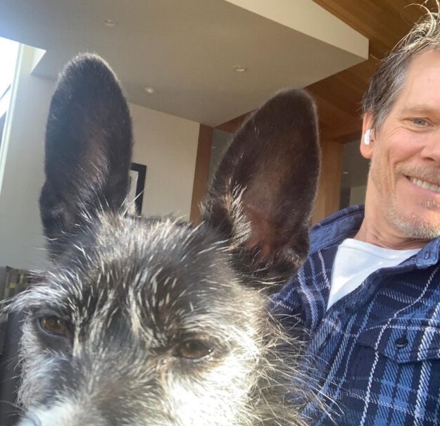Kevin Bacon And Kyra Sedgwick Fill Their Home With Pitbulls And Rescue Dogs