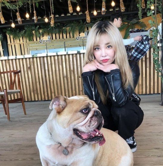 Could G-Dragon face consequences for animal abuse? - KpopHit - KPOP HIT