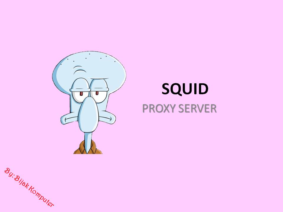 Squid url. Squid url. Squid url. Squid url. Squid linux.