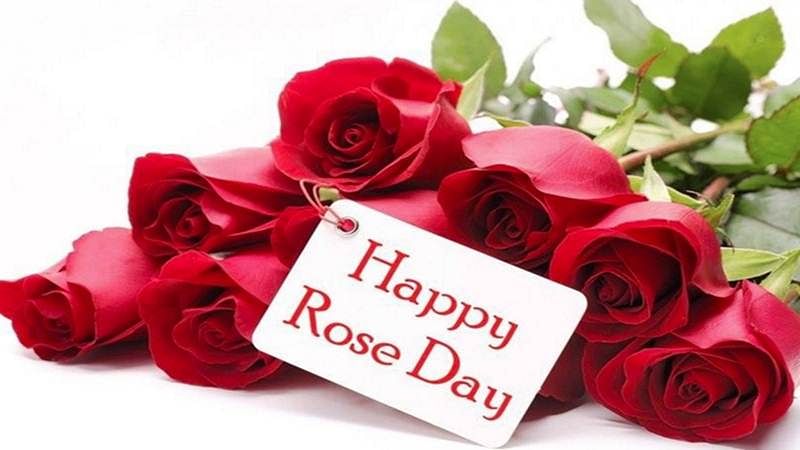 173+ (Best) Happy Rose Day Quotes In Hindi | Rose Day Wishes In Hindi | Rose Day Shayari In Hindi | Rose Day Status In Hindi
