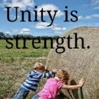 Essay on unity is strength for class 12 image