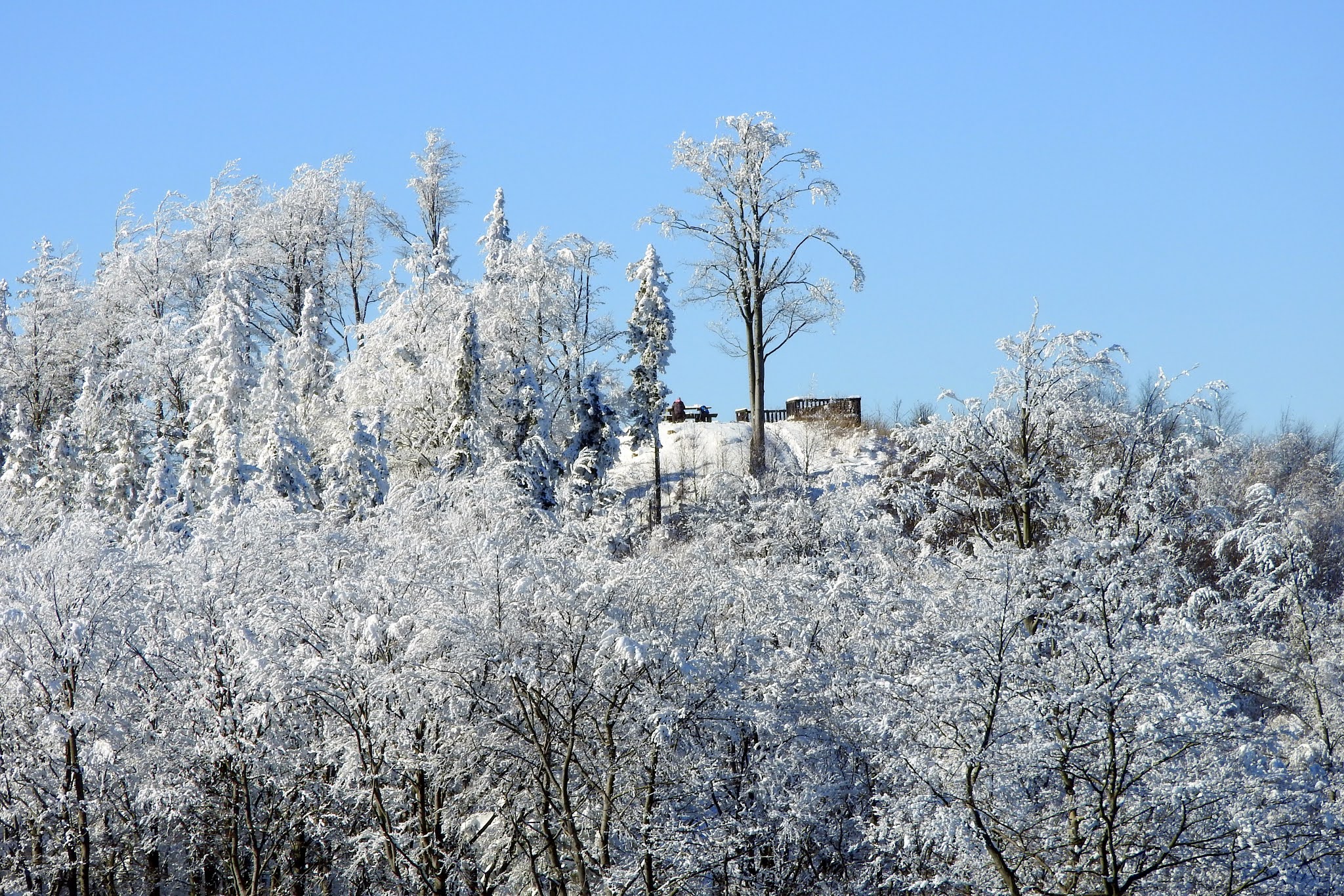 Nałogowa Podróżniczka Góry Wałbrzyskie Z Jedlinki do Wałbrzycha przez