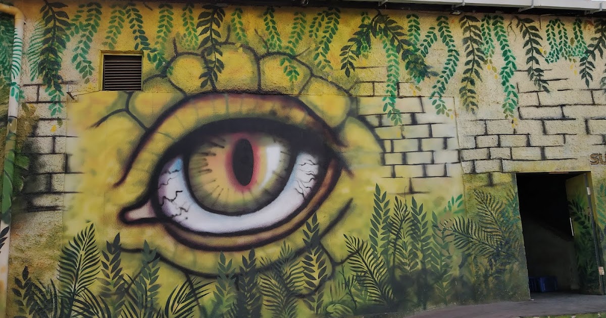 Looking beyond dreams