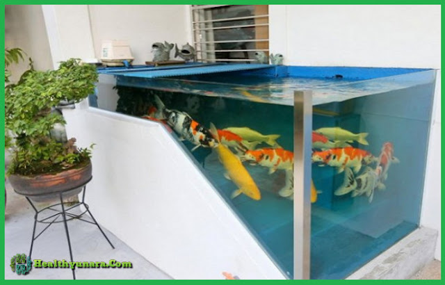5 Minimalist Fish Pond Design Suitable For Simple House 5 Minimalist Fish Pond Design Suitable For Simple House