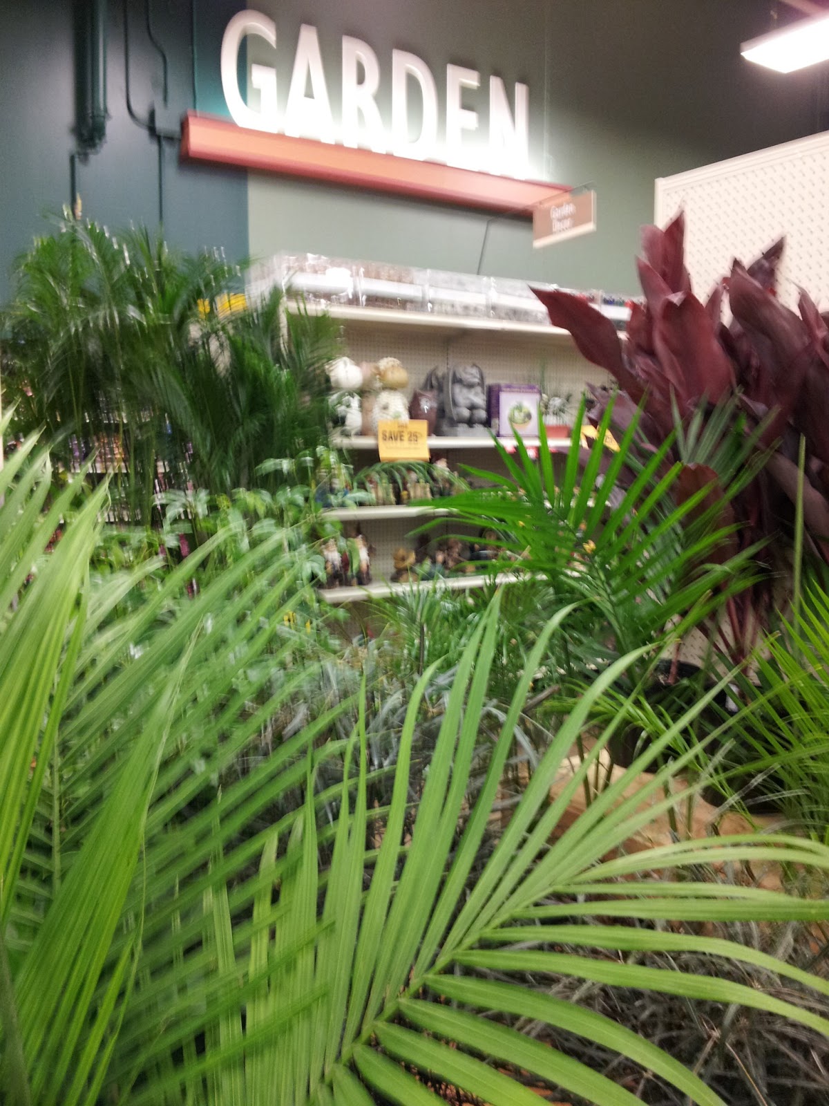 Storewanderer Fred Meyer Newport OR